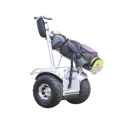 China 2021 New 18.5 Inch 1600W*2 Unisex Two-wheeler Golf Electric Balancing Car for sale