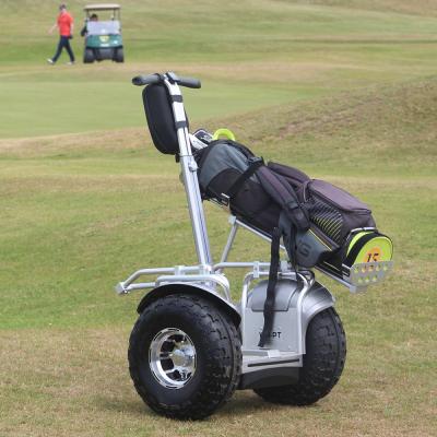 China Fat Tire Golf Trolley Unisex Popular High Power Electric Golf Carts for sale