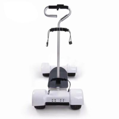 China Easy to Use and Powerful 60V Four Wheel Golf Adult 1000W 10 Motor ESWING Electric Scooter for sale