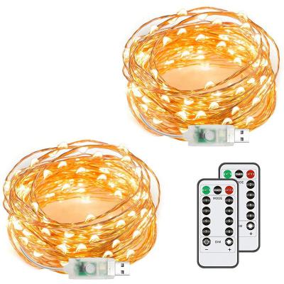 China DOSYU USB Copper Wire String Remote Control Led Lamp Indoor and Outdoor Jewelry Gift Lamp Day Christmas Decorative Lanterns for sale