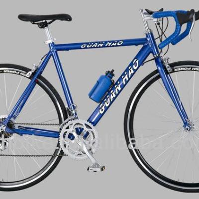 China Aluminum Frame 700C Man's Road Bike Track Cycling for Men's Performance Boost for sale