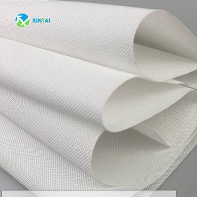 China 100%Polypropylene Waterproof Biodegradable Nonwoven Fabric PP Spun Bond Nonwoven Bag Fabric Roll for sale