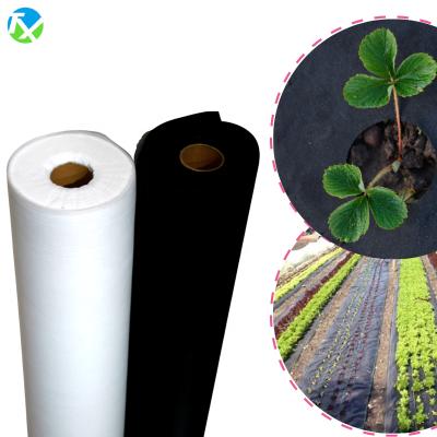 China 100% Spunbond Recycled Waterproof Polypropylene Fabric PP Non Woven For Agricultural Rug Fleece for sale