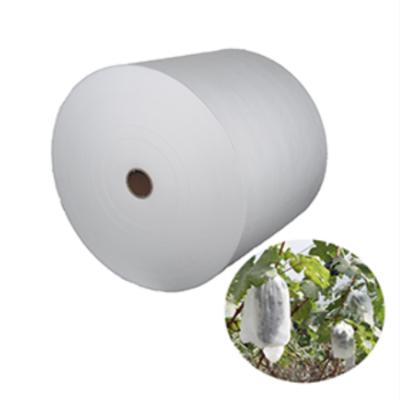 China Viable Hydrophilic PP Spunbond Nonwoven Fruit Grow Blanket Bag Fruit Breeding Protection Bag Nonwoven Agriculture Nonwoven Fabric for sale