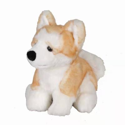 China Fashion Toy Akita Puppy Doll Soft Stuffed Puppy Creative Birthday Gift Stuffed Animal Plush Toy Plush Dogs Toys Soft for sale