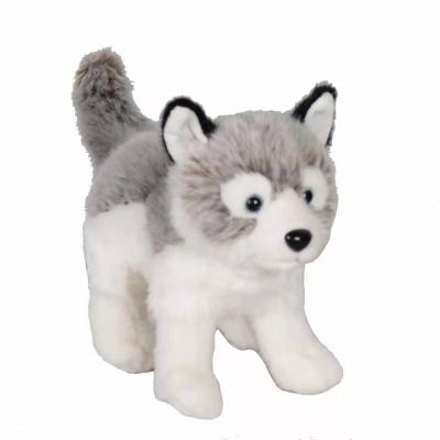 China Plush Soft Stuffed Toy Alaskan Malamute Puppy Doll Stuffed Fashion Creative Puppy Birthday Gift Plush Dogs Toys Soft for sale