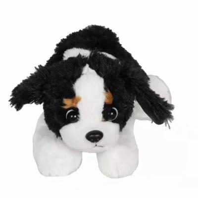 China Fashion Toy Husky Puppy Doll Soft Stuffed Puppy Creative Birthday Gift Stuffed Animal Plush Toy Plush Dogs Soft Toys for sale