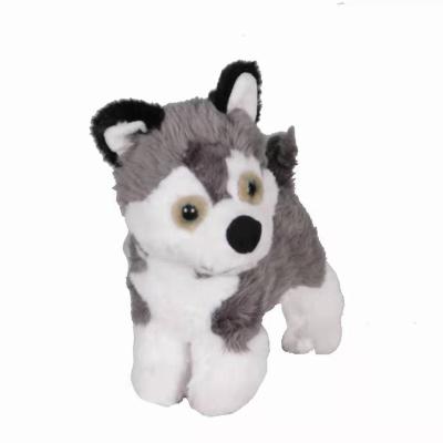 China Plush Soft Stuffed Toy Cute Husky Puppy Doll Toy Plush Dogs Soft Toys Fashion Puppy Creative Birthday Gift for sale