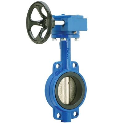 China API 6D China Factory General DI Ductile Iron Worm Gear Driven Catch Type Butterfly Valve for sale