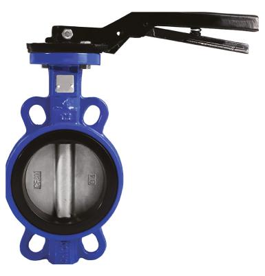 China API 6D China Factory General DI Ductile Iron Worm Gear Driven Catch Type Butterfly Valve for sale