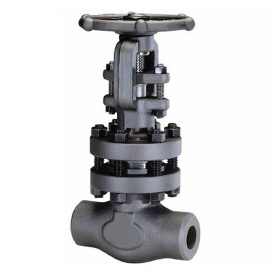 China Best Price General Double Clamp Two Way Non-Rising Stem Forging Steel Disc Gate Valve for sale