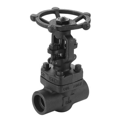 China General ISO Certification Socket Welded API Forge Steel Globe Valve for sale