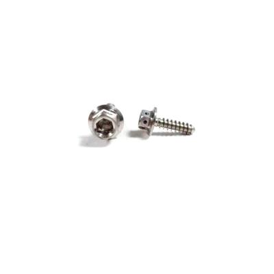 China High Quality Stainless Steel Custom Screws China Professional Custom Screw High Quality Stainless Steel Screws for sale