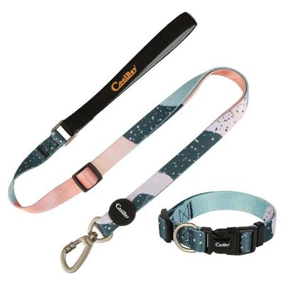 China Low Price Personalized Gold Dog Collar Leash Set High Quality Adjustable Pet Leash Dog Collar for sale