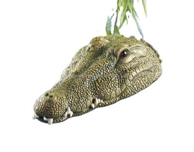 China Crocodile head, garden art or traditional floating lure for water, pools and ponds, for sale