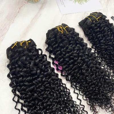 China Hot Sale Brazilian Colored Remy Hair Extension Curly Loop Good Quality Clip In Hair Extensions 100% Remy Human Hair Russian Clip In for sale