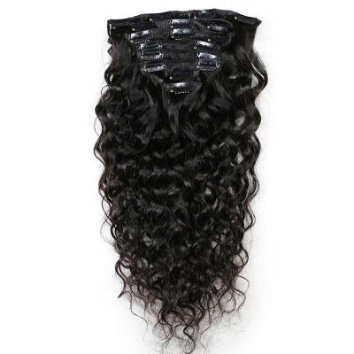 China Wholesale Curly 100% Remy Hair Russian Curly Ins Invisible Seamless Clip In Hair Extension Hair Clip In Hair for sale