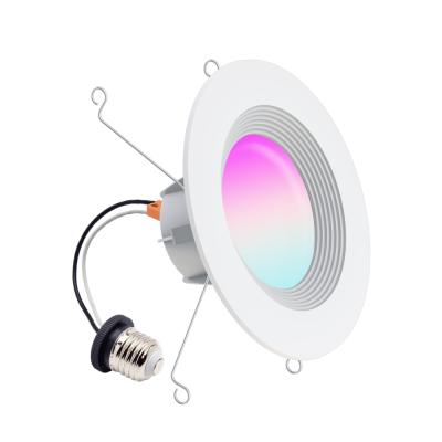 China Modern 13W Led Ceiling Light Indoor Light Fixture Included Dimmable Downlight for sale