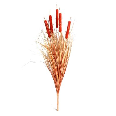 China Potted Plants Minimalist Imitation Tubular Grass Onion Grass Foxtail Pampas Grass Decorative Wedding Plants for sale