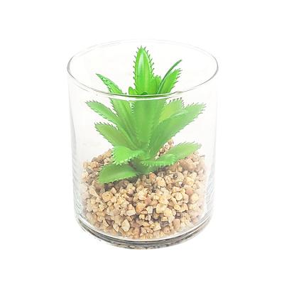 China Contemporary Indoor Glass Potted Round Artificial Succulents Micro Sand Landscape Set Bonsai for sale