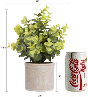 China Megbeauty Modern Potted House Plants Small Plants For Home Decor, Office - Eucalyptus Leaves for sale