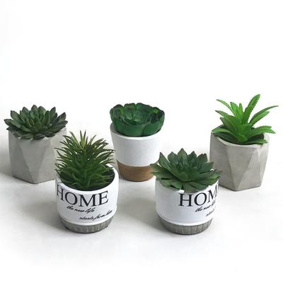 China Wholesale Minimalist Potted Artificial Succulent Home Decor Decorative Plant for sale