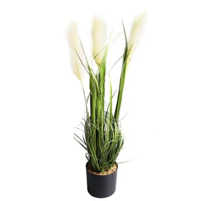 China Artificial PVC Tree 2-6ft Reed Plant Type Grass Bonsai for Modern Design Style and Home Decoration for sale