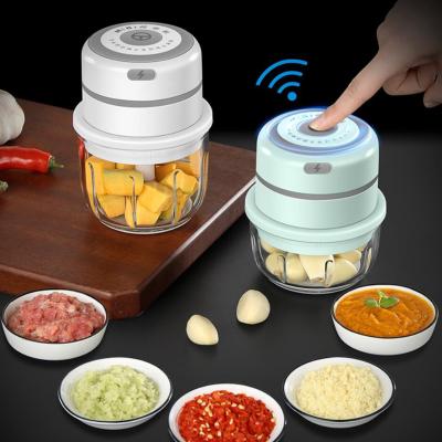 China RAYBIN Chopper Custom Purpose Multi Purpose Portable Cordless Vegetable Slicer Viable Ginger Mini Electric Garlic Cleaver for sale