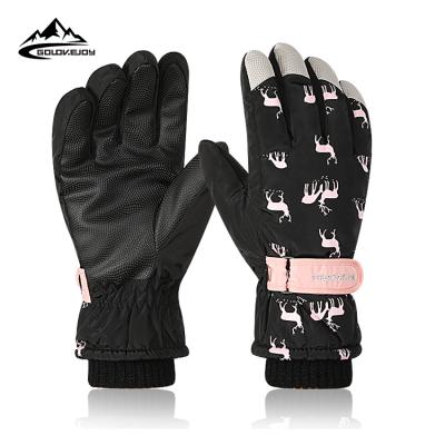 China GOLOVEJOY SK10 Nylon Winter Heated Ski Gloves Thicken Waterproof Sportswear Snowboarding Mitt Gloves For Women for sale