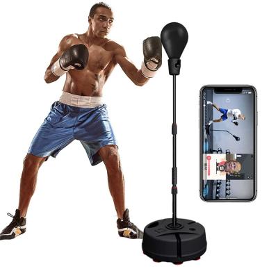 China Procircle Durable Fast Speed ​​Reflex Boxing Bag Smart Standing Sandbag Kick Boxing for sale