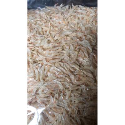 China NATURE factory direct sales dried shrimp small good quality dried small shrimp for sale