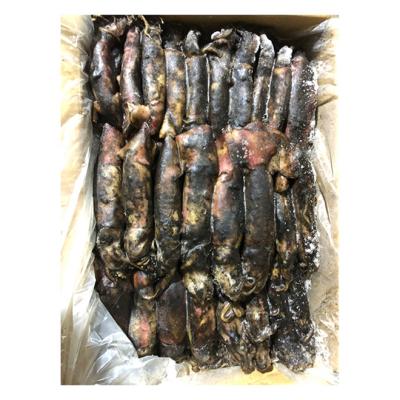 China Factory direct wholesale frozen giant squid cheap frozen whole squid for sale