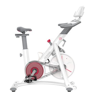 China 2021 Universal Factory S3 Body Building Cycle Direct Rotation Indoor Exercise For Home Gym Fitness Equipment Better Than for sale