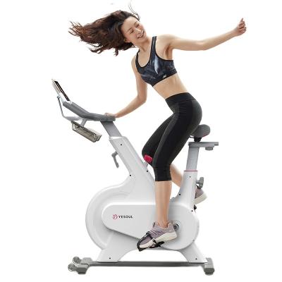 China Home Gym Mini Fitness Home Gym Spinning Exercise Bike Universal Magnetic Indoor Stationary Bicycle Rotation for sale