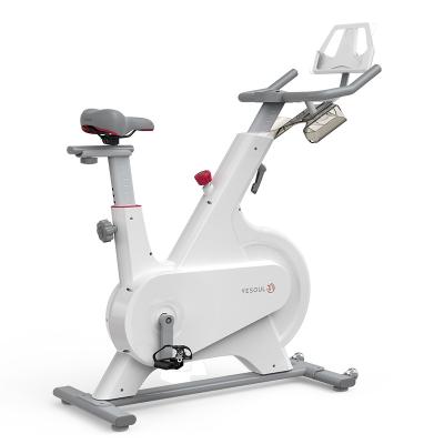 China Home Use Gym Bicycle Exercise Bike Fitness Equipment Indoor Recycling Smart Spin Bike for sale