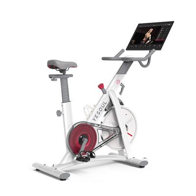 China Home Use 2020 Yesoul S3plus Professional Spin Bike With 21.5inch Screen Stationary Spin Bike With 7.5kg Flywheel for sale