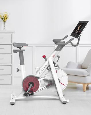 China Home Electric Automatic Fitness Bike Exercise Bike Yesoul Use Machines Indoor Spinning Bike for sale