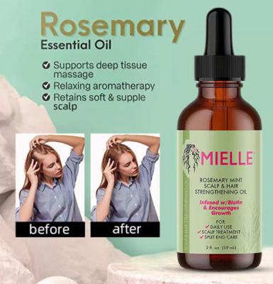 China Mezcla ligera de aceite para el cabello de romero Mielle - Nutrientes, fortalecedores e hidratantes para todos los tipos de cabello en venta