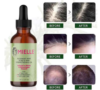 Κίνα Ενυδατωτικό Mielle Rosemary Hair Oil με Αβοκάντο Jojoba Αμυγδάλιο Έλαιο Ελαφριά φόρμουλα προς πώληση