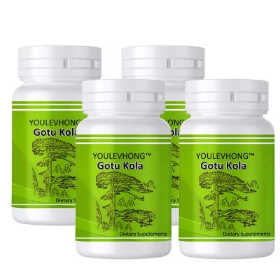 China Gotu Kola Extract Brain Function Enhancer Supplement Capsules 500mg Dietary Supplement Natural Health Beauty Capsules for sale