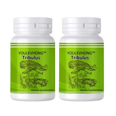 China GMP Certified NSF Listed FDA Registered Tribulus Terrestris Capsules - 90 Capsule Vegan Supplement for sale