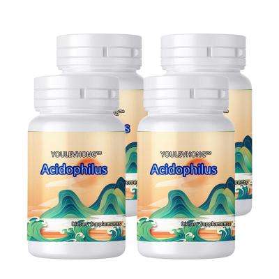 China Sugar Free Probiotic Capsules With 100 Million Acidophilus Cultures Daily Supplement For Digestive Health for sale