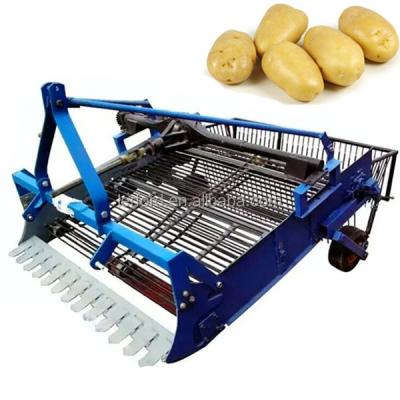 China Tong Engineering Small Potato Harvester Potato Harvester and Sorting Tractor Mounted Small Potato Digger Machine for sale