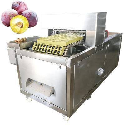 China Plum Stone Seed Removing Machine High Yield Apricot Pungent Plum Core Removing Machine for sale