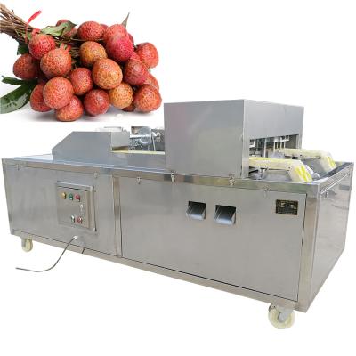 China Stone Pit Seed Remover Lychee Removing Machine High Efficiency Lychee Peeling Machine Lychee Leechee Lychee Machine for sale