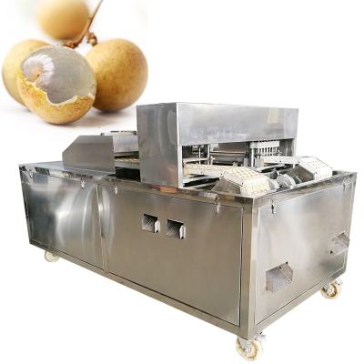 China High Efficiency Date Longan Seed Removing Equipment Red Jujube Nuclear Destoning Machine for sale