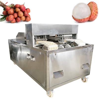 China High efficiency small lychee pitter lychee fruit pitting machine lychee peeling date pitting pitting slicing machine for sale