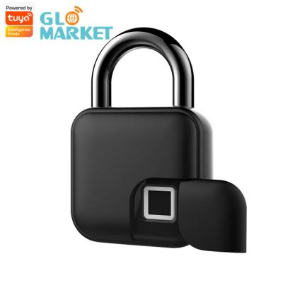 Китай Padlock отпечатка пальцев USB умного Padlock Tuya сплава цинка поручая для шкафа двери сумки продается