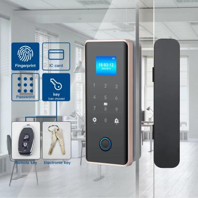 China Glomarket Smart Glass Door Lock Wifi Remote Control Tuya app Office Lock Card Digitaal Biometrisch Vingerafdruk Door Lock Te koop