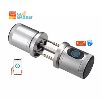 China Glomarket New Style Tuya App Control Smart Lock Tür Fingerabdruck Passwort Zuhause Hotel Wohnung Elektronische Smart Door Knob Lock zu verkaufen